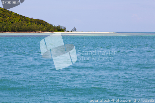 Image of  south   thailand kho  bay  coastline of   lagoon and tree 