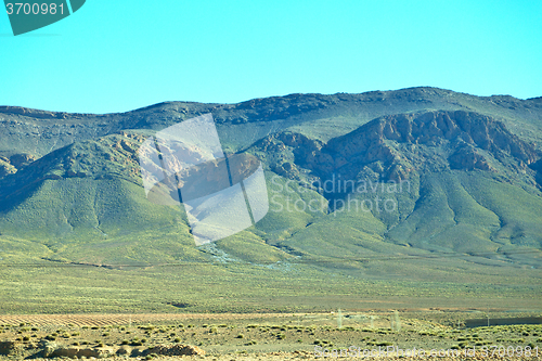 Image of bush  in    valley  morocco     africa the atlas   mountain  