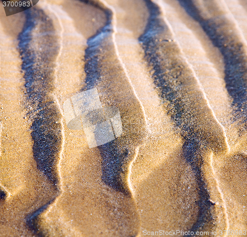 Image of dune morocco in africa brown coastline wet sand beach near atlan