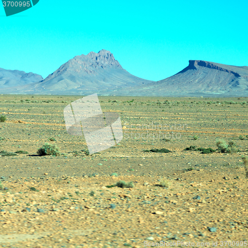 Image of bush  in    valley  morocco     africa the atlas dry mountain  