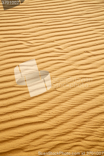 Image of   brown sand dune in the sahara morocco desert 