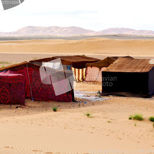 Image of tent in  the desert of morocco sahara and rock  stone    sky