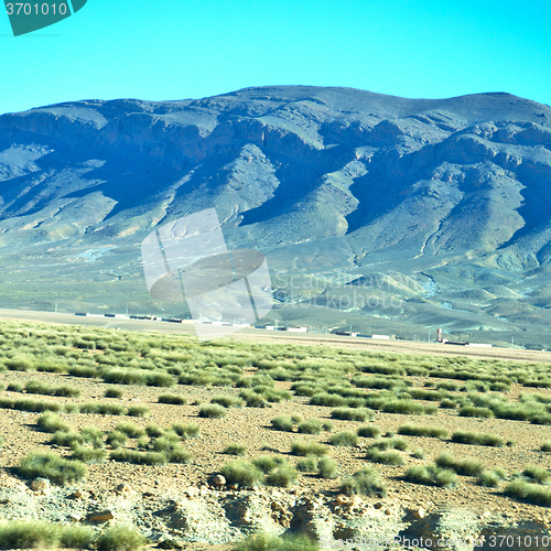 Image of brown bush  in    valley  morocco         africa the atlas dry m