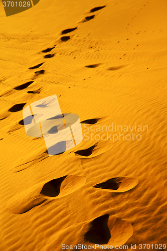 Image of the brown sand dune in footstep  morocco desert 