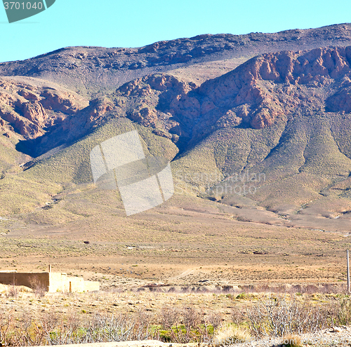 Image of bush  in    valley  morocco     africa the atlas dry mountain  