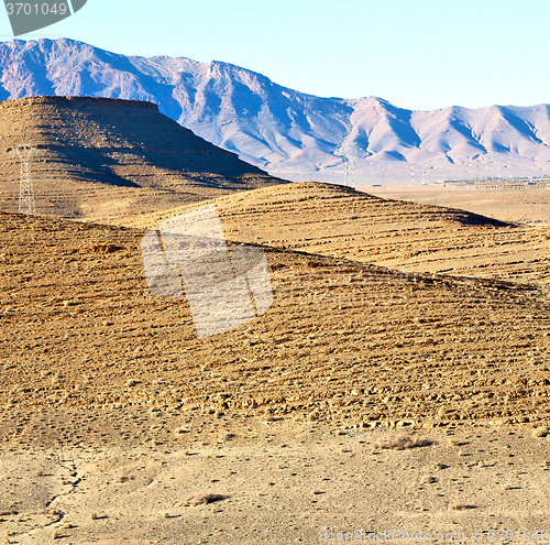 Image of bush  in    valley  morocco     africa the atlas dry mountain  