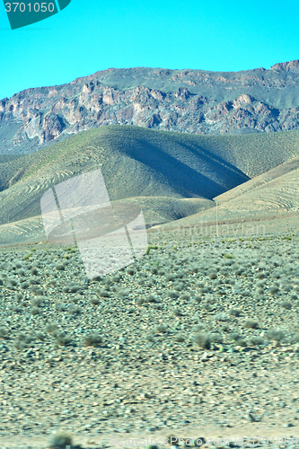 Image of brown bush  in          africa the atlas dry mountain  
