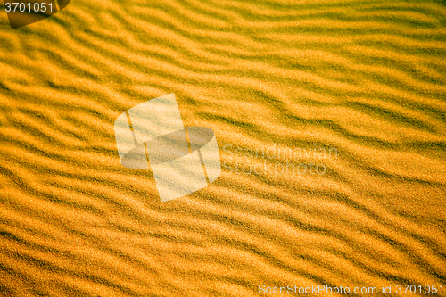 Image of africa  brown sand dune     desert line