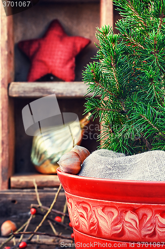 Image of Tree in flower pot