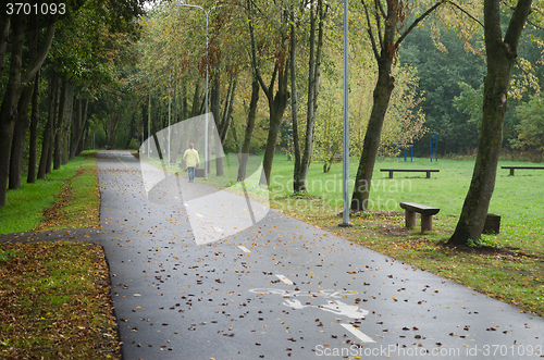 Image of Alley with fallen leaves in park