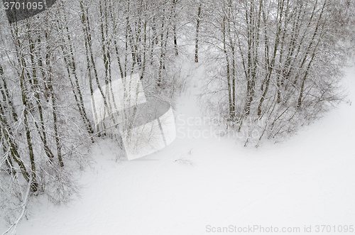 Image of Top view of the edge of a snowy forest  