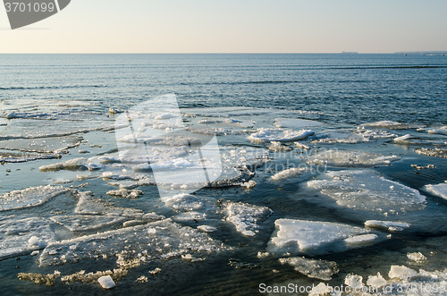 Image of Melting ice floe at the sea