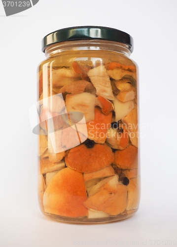 Image of Porcini mushroom jar