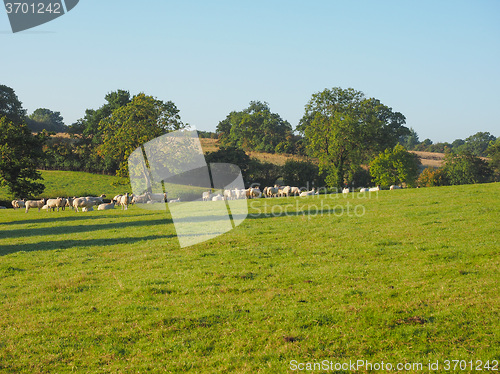 Image of View of Tanworth in Arden