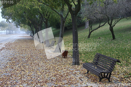 Image of Foggy Morning