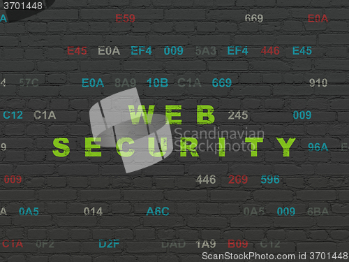 Image of Protection concept: Web Security on wall background