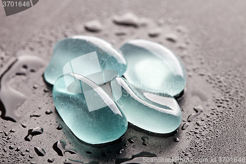 Image of wet glass pieces polished by the sea