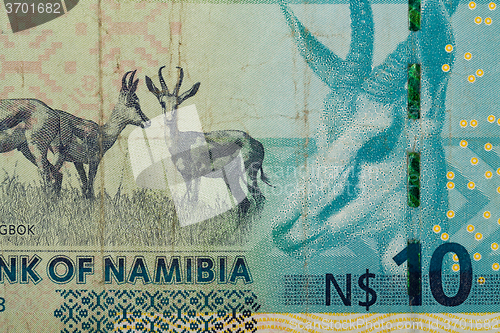 Image of Detail of 10 Namibian dollars banknote