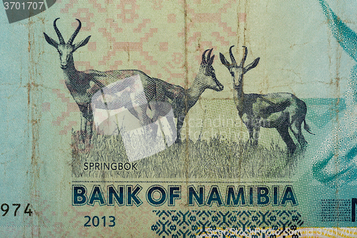 Image of Detail of 10 Namibian dollars banknote