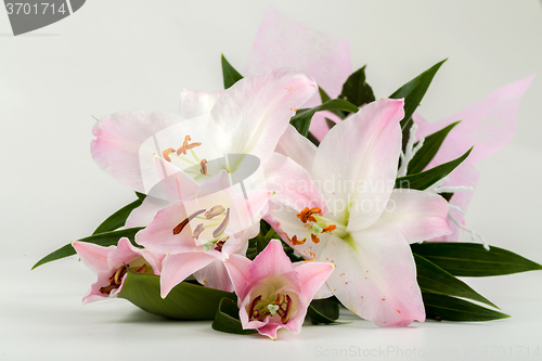 Image of bouquet of pink lily flower