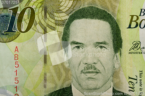 Image of Detail of 10 Botswana Pula banknote