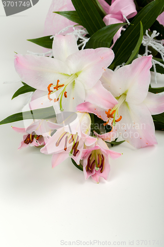 Image of bouquet of pink lily flower