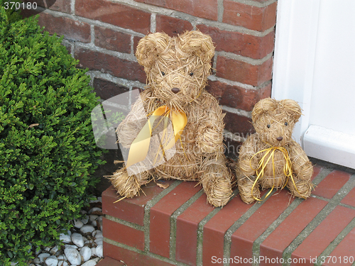 Image of Teddies