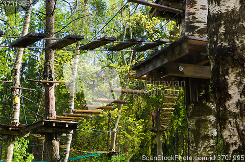 Image of Dangerous ropeway with tether in rope park, trees with green lea