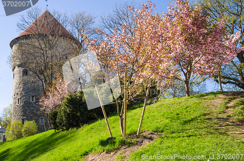 Image of View of the Old Tallinn beautiful spring day