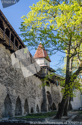 Image of Danish King\'s Garden in Tallinn, spring view