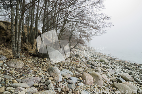 Image of Coast of Baltic sea in a fog