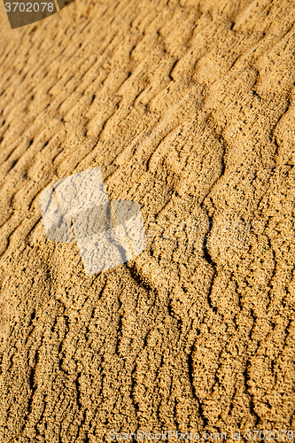 Image of   brown  dune in the sahara morocco desert 