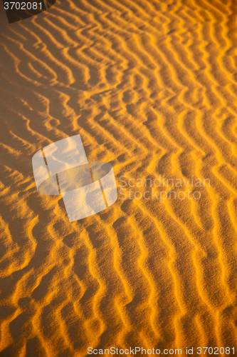 Image of the brown sand dune in the  morocco desert 