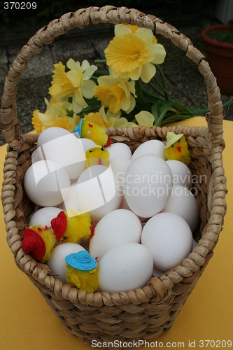 Image of Easter egg, chickens and daffodils