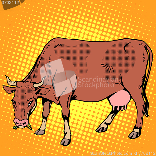 Image of Cow eating grass farm animals