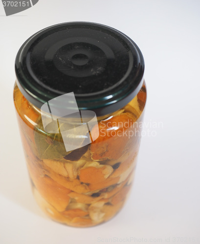 Image of Porcini mushroom jar