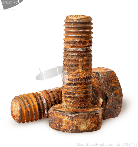Image of Two old rusty bolts