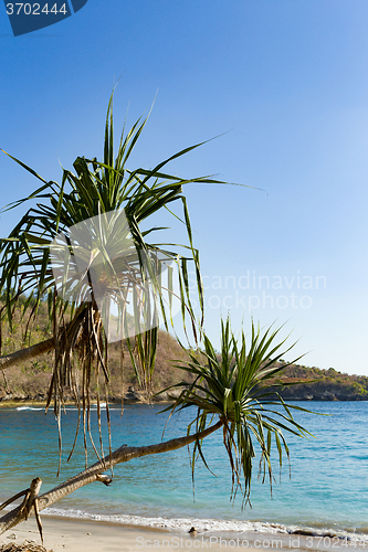 Image of famous Crystal beach at Nusa Penida island