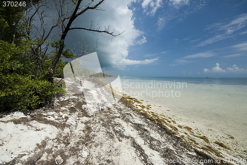 Image of coco plum beach florida keys