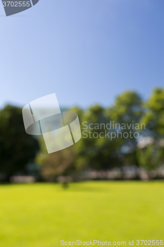 Image of blurred summer field, trees and blue sky bokeh