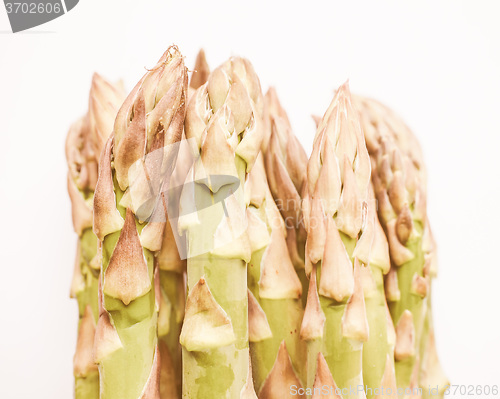 Image of Retro looking Asparagus vegetable