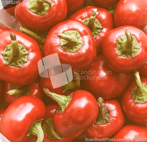 Image of Retro looking Peppers picture