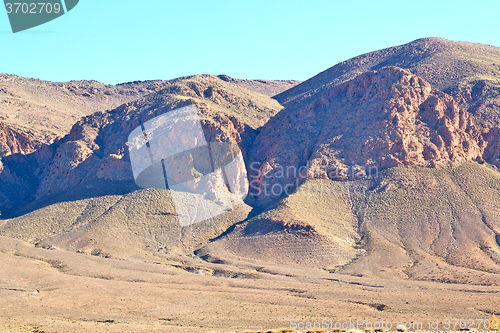 Image of bush  in    valley  morocco      mountain  