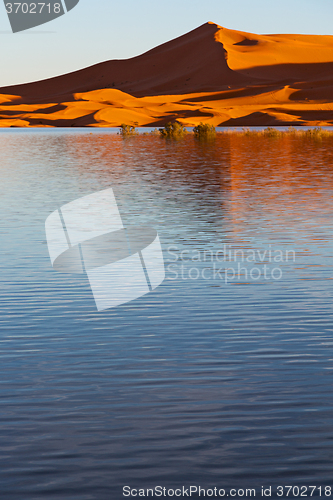 Image of   in the lake yellow  desert   sand and     dune