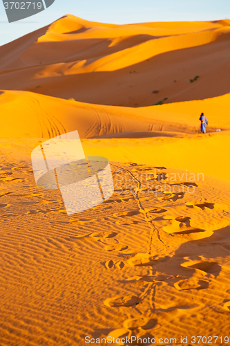 Image of sunshine in the desert 