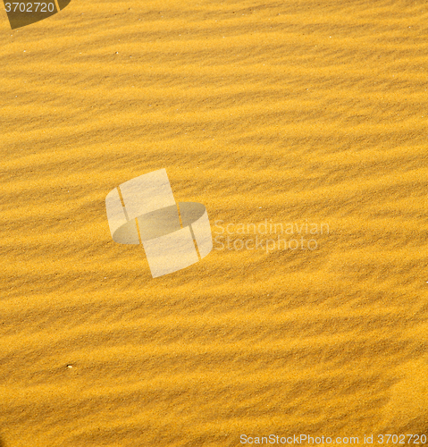 Image of the brown sand dune in the sahara morocco desert 