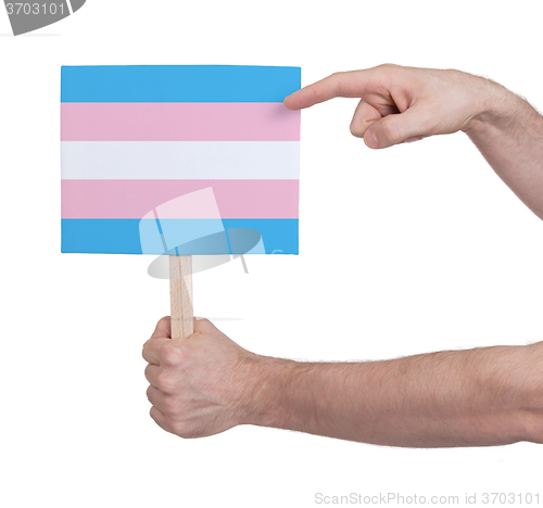 Image of Hand holding small card - Flag of Trans Pride