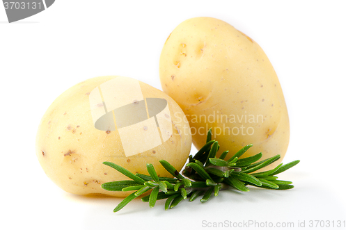 Image of New potato and green parsley