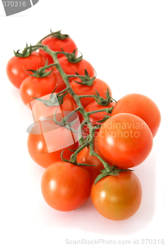 Image of Cherry tomatoes on the vine