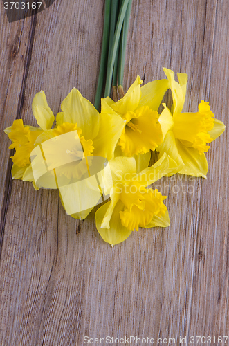 Image of Jonquil flowers